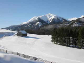 Holzchalet nahe Skilift Hohentauern - 7