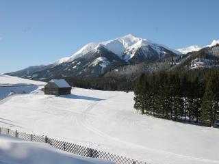Chalet in Hohentauern am Skilift - 7