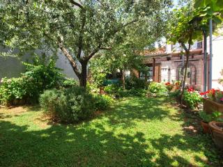 Apartments with A - C Vodnjan-Vodnjan (Region) 44172 - 4