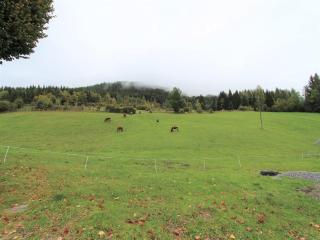 Characterful old farmhouse with 4 apartments in Fresach Carinthia with garden - Fresach - 8