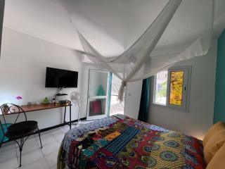 Au Petit Paradis - chambre climatisée et piscine - 4