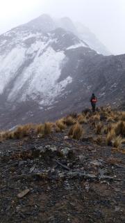 QURPa ALBERGUE - 2