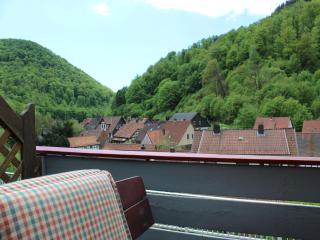 Cozy holiday apartment in Walkenried, district of Zorge - 6