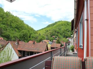 Cozy holiday apartment in Walkenried, district of Zorge - 5