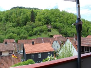 Cozy holiday apartment in Walkenried, district of Zorge - 3