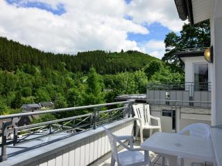 Holiday home in the centre of Willingen with view - 8