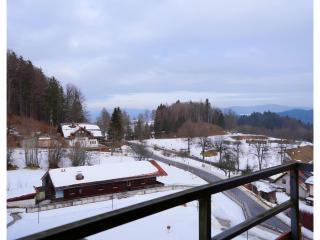 Holiday apartments in Freyung with sauna & swimming pool - 1