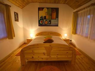 Apartment in Masuria with Private Pond - 2