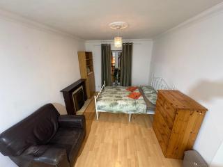 HA PENNY BRIDGE , Elegant Flat with Private Balcony, Liffey View and Kitchen, Shared Bathroom - 7