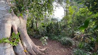 Artists home above rainforest sleeps 10 with pool - 9