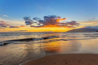Kihei Alii Kai D204 - 9