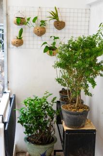 Vũ no Roji - A rustic wooden hideaway nestled on the 2nd floor, down the alley in Hanoi Old Quarter - 7
