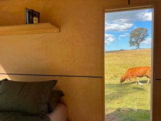 Off-grid tiny home on the creek - 4