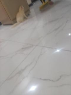 Kings hotels and bars - 4