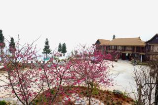 Bản Luốc Ecolodge - 6