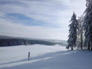 Ski- und Wanderurlaub im Wald Ferienhaus Adlerblick - 3