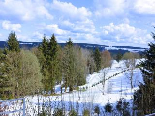 Ski- und Wanderurlaub im Wald Ferienhaus Adlerblick - 2