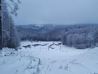 Ski- und Wanderurlaub im Wald Ferienhaus Adlerblick - 1
