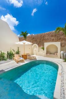 Amani Villas Luxe, New, Private Pool Oasis Canggu - 7