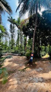 The New Outback Coorg Estate Stay - 3