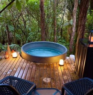 Fantail Bush Chalet and Hot Tub - 8