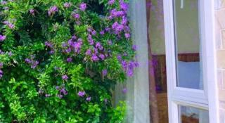 La Roza Dalat Boutique Hotel - 7