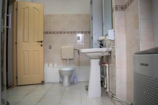 Sunny Apartments near Obor - Art and Garden - Bucarest - 2