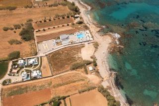 Thalasses - 5