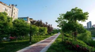GreenTree Inn Wuhu Fanchang County Anding Road Hotel - 3