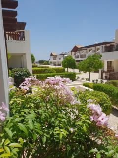 Ground floor One Bedroom Apartment, Vanessa Complex - 2