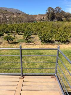 Waterfall Farm Self-Catering Cottages Citrusdal - Citrusdal - 9
