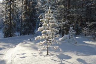 Winter at Fulufjellet National Park Lodge - 5