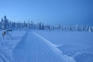 Winter at Fulufjellet National Park Lodge - 7
