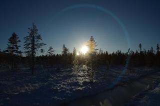 Winter at Fulufjellet National Park Lodge - 6