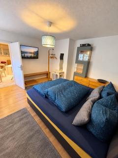 Helles Apartment in ruhiger Lage mit Parkplatz und WiFi, Souterrain - 6