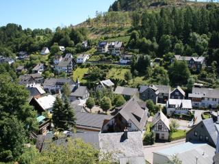 Ferienwohnung bei Willingen mit Terrasse - 7