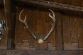 BELMONTE RANCH - 5