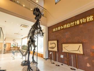 Okuizumo Tane Museum of Natural History - 9