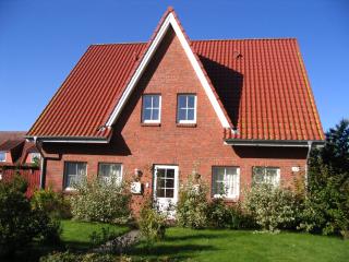 Im Land der Horizonte - 0