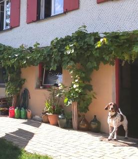 Daheim Nr 1 - Südwesterhaus Allgäu - 1