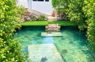 The lagoons Turtle Resort - 7