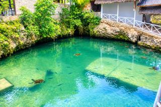 The lagoons Turtle Resort - 5