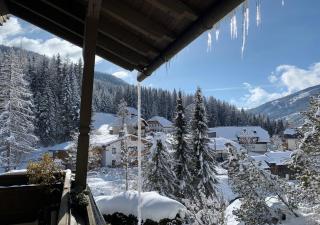 Lilly Chalet- Apartments with private sauna, close to ski lifts - 0