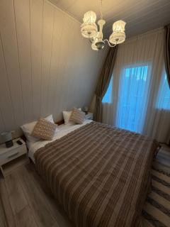 Winter Frame Chalet - 4