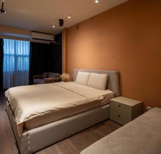 Aurelia Pristina - 6