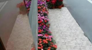 Xuanxuan Hotel - 1