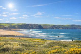 Spacious 6 Bed Holiday Cottage w Sea Views - 4
