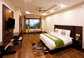 Golden Vista Business Hotel - 4