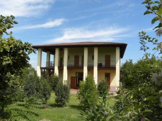 Agriturismo I Toschi - 8