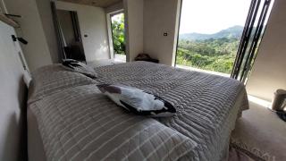 Private room in nature - 1